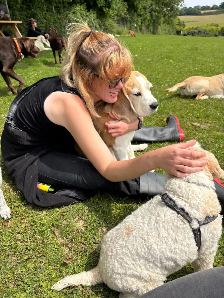 A Schnoodles team member hugging a beagle