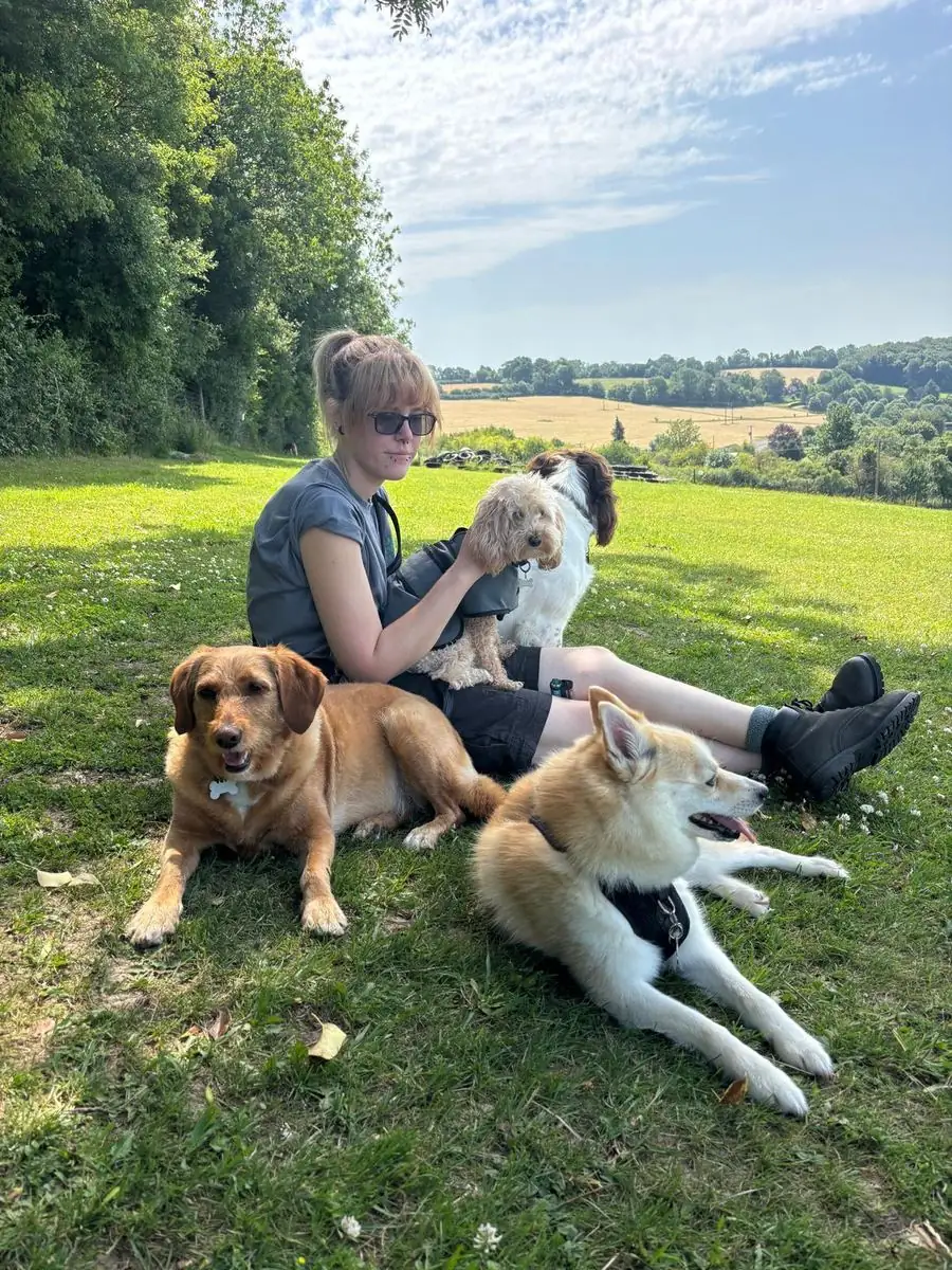 A Schnoodles team member relaxing with dogs in the countryside